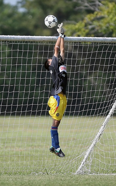 成功脱颖而 成功脱颖而