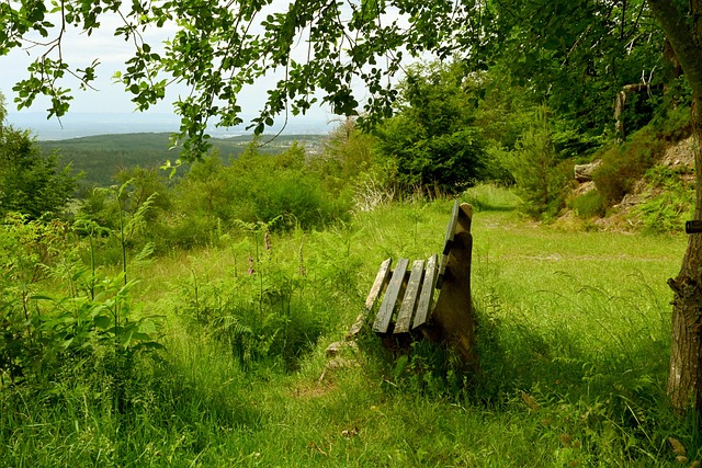 他不仅是球 他不仅是球