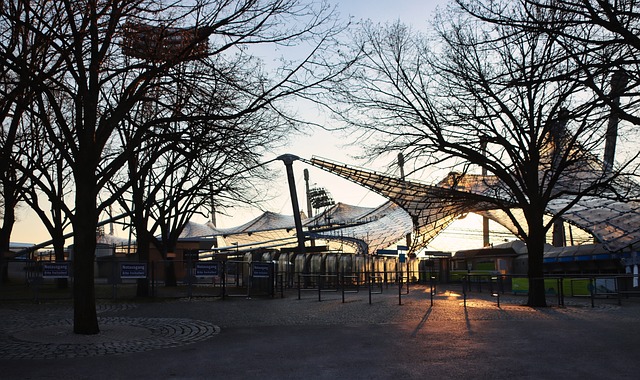 胜负的机会 胜负的机会